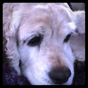 One is the loneliest number, so buy more and save!